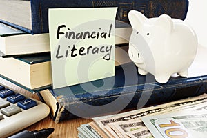 Financial Literacy written on a stick and piggy bank as savings symbol. photo