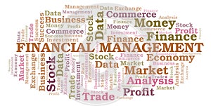 Financial Management word cloud.