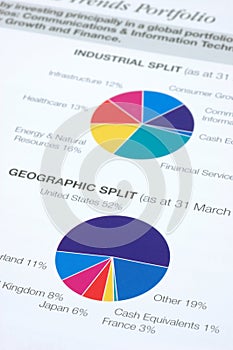 Financial pie chart