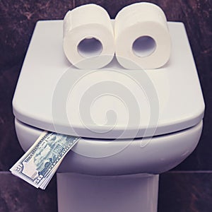 Financial problems due to lack of toilet paper. Us dollars on the toilet lid, a fun concept