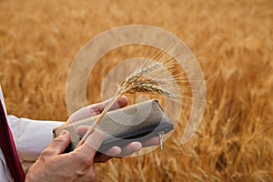 Financial profit for a good wheat harvest