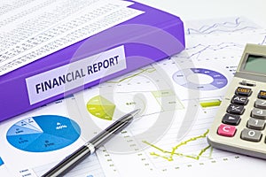 Financial report and graph analysis for budget management