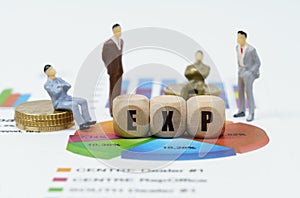 On financial reports with diagrams, figures of businessmen and wooden cubes with the inscription - EXP