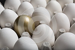 Financial Success finding the Golden Egg and standing out from the crowd