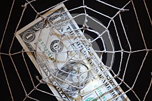 Financial Web