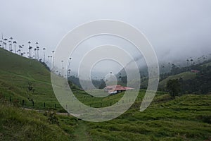 Finca, farmhouse in the Cocora Valley, Valle de Cocora, Eje Cafetero, Salento, Colombia photo