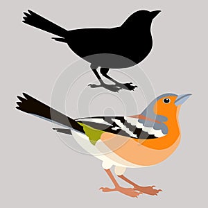 Pinzón pájaro ilustraciones un piso estilo negro silueta perfil 