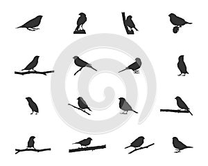 Finch silhouette, Finch birds silhouette, Finch vector illustration.