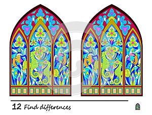 Find 12 differences. Logic puzzle game for children and adults. Print for kids brain teaser book.