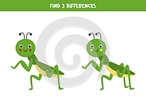 Find 3 differences between two cute praying mantises.