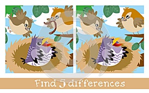 Find 5 differences. Game for children. Birds near nest. Hand drawn full color illustration. Vector flat cartoon picture.