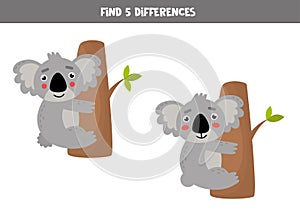 Find 5 differences between two pictures with cute koala.