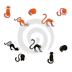 Find the correct cartoons cats shadow stock vector illustration. Game for children