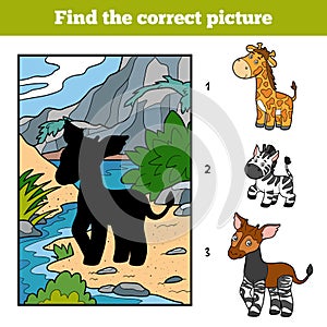 Find the correct picture for children. Okapi and background