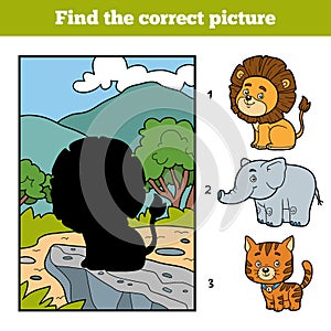 Find the correct picture. Little lion and background