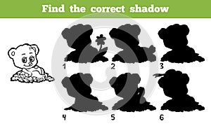 Find the correct shadow