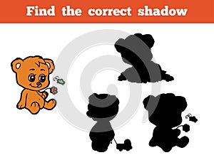 Find the correct shadow (bear)