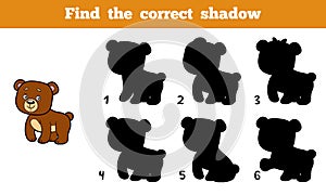 Find the correct shadow (bear)