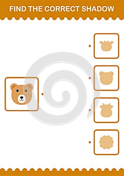 Find the correct shadow Bear face. Worksheet for kids