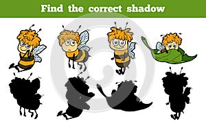 Find the correct shadow (bees)