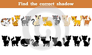 Find the correct shadow (cats)