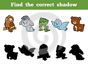 Find the correct shadow for children. Animal collection