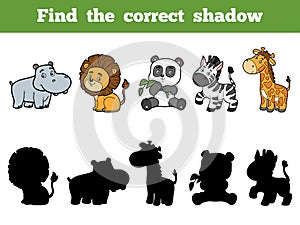 Find the correct shadow for children. Animal collection