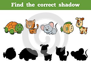 Find the correct shadow for children. Animal collection