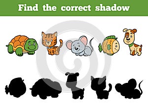Find the correct shadow for children. Animal collection photo