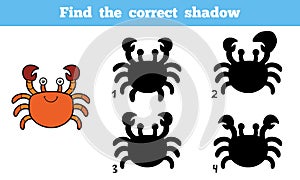 Find the correct shadow (crab)