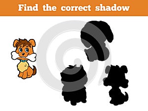 Find the correct shadow (dog)