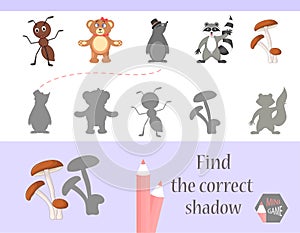 Find the correct shadow, education game for children. Cute Cartoon animals and Nature. vector illustration.