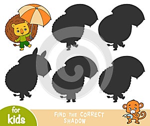 Find the correct shadow, education game for children, lion and umbrella