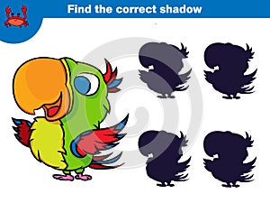 Find the correct shadow, education game for children. Set of cartoon pirate characters Vector illustration