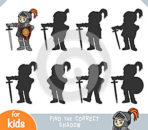 Find the correct shadow, education game for kids, Knight