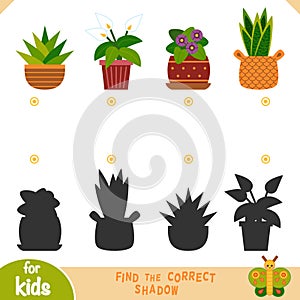 Find the correct shadow, education game, set of houseplants