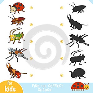 Find the correct shadow, education game, set of insects