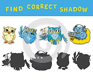 Find the correct shadow educational game for kids with owls. Vector colorful activity