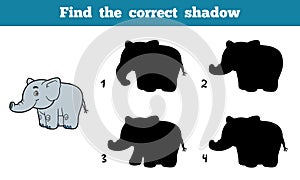 Find the correct shadow (elephant)