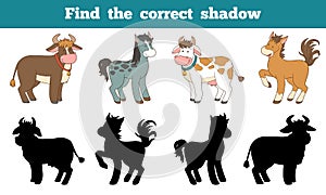 Find the correct shadow: farm animals (horse and cows) photo