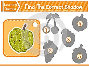 Find The Correct Shadow Find And Match The Correct Shadow Of Custard Apple. Kids Educational Game. Printable Worksheet Vector