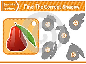 Find The Correct Shadow Find And Match The Correct Shadow Of Rose Apple. Kids Educational Game. Printable Worksheet Vector