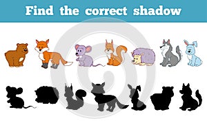 Find the correct shadow (forest animals)