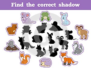 Find the correct shadow (forest animals)