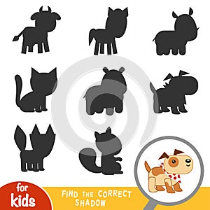 Find the correct shadow, game for children, Dog