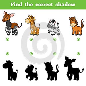 Find the correct shadow, game for children. Set of animals