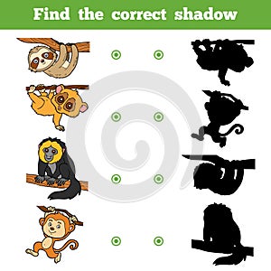 Find the correct shadow, game for children. Set of animals