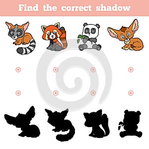 Find the correct shadow, game for children. Set of animals