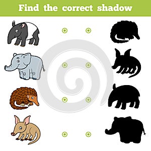 Find the correct shadow, game for children. Set of animals