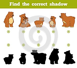 Find the correct shadow, game for children. Set of cartoon bears